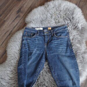Vintage Pilcro Medium Washed Jeans